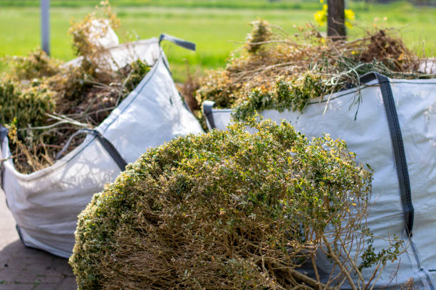 Best Yard Cleanup Services  in Winchester, MO